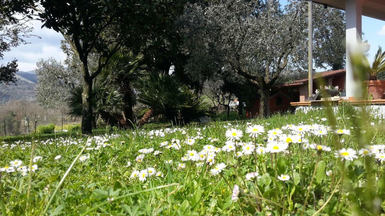B&B La Mita Giuliano di Roma Extérieur photo